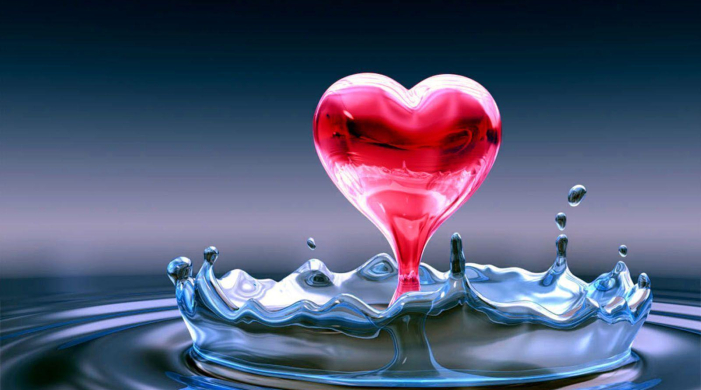 Đa dạng biên dạng cạnh